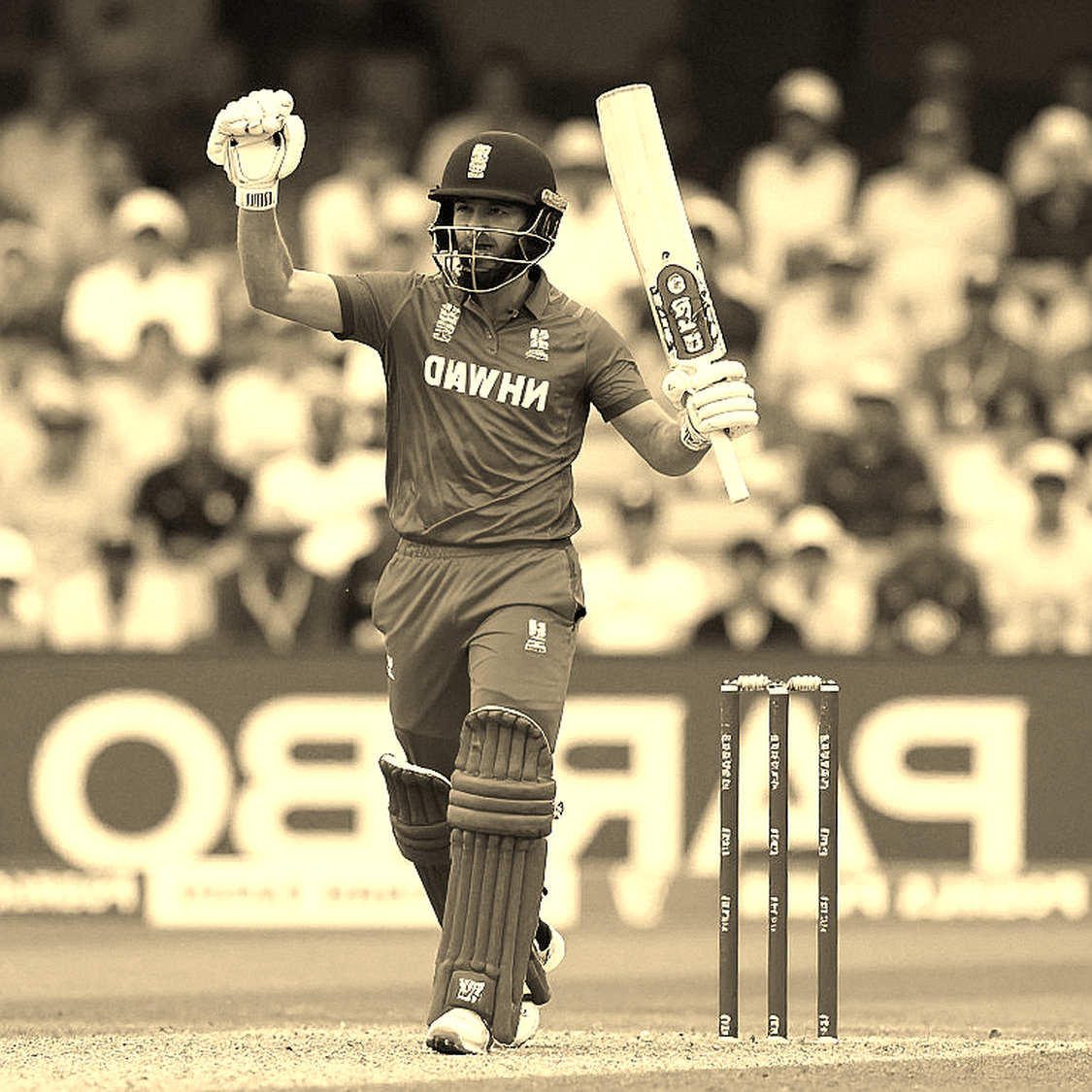 Blockchain in Cricket: The Fan-Token Bubble and the Player-Payment Ledger Blockchain in Cricket: The Fan-Token Bubble and the Player-Payment Ledger