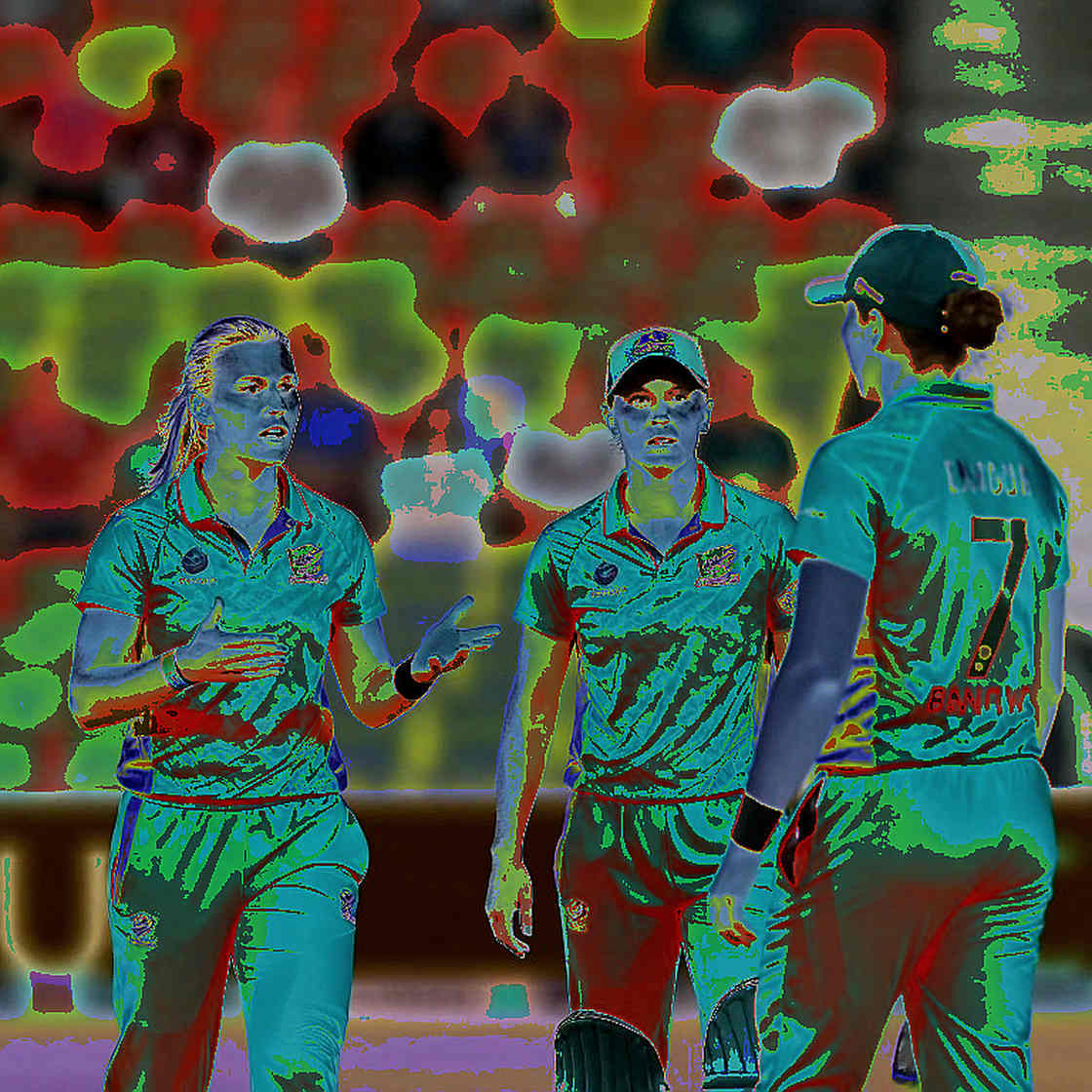 খালি ব্লক, নীরব স্প্রেডশিট: ক্রিকেটের ডেটা-চেইনে অদৃশ্য সংকট খালি ব্লক, নীরব স্প্রেডশিট: ক্রিকেটের ডেটা-চেইনে অদৃশ্য সংকট
